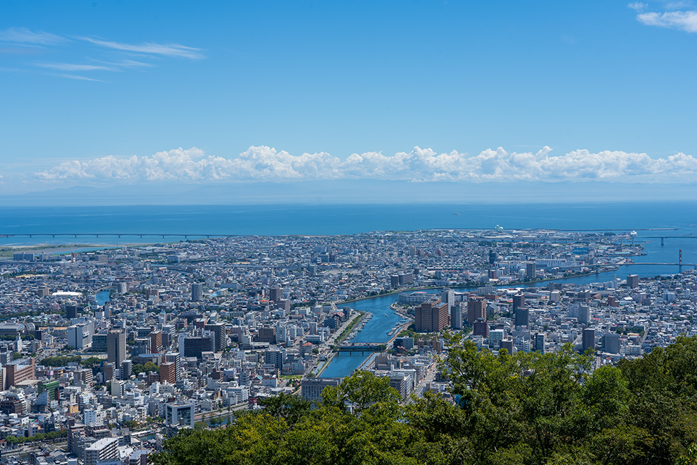 徳島市での判断は、地域事情を踏まえることが大切です
